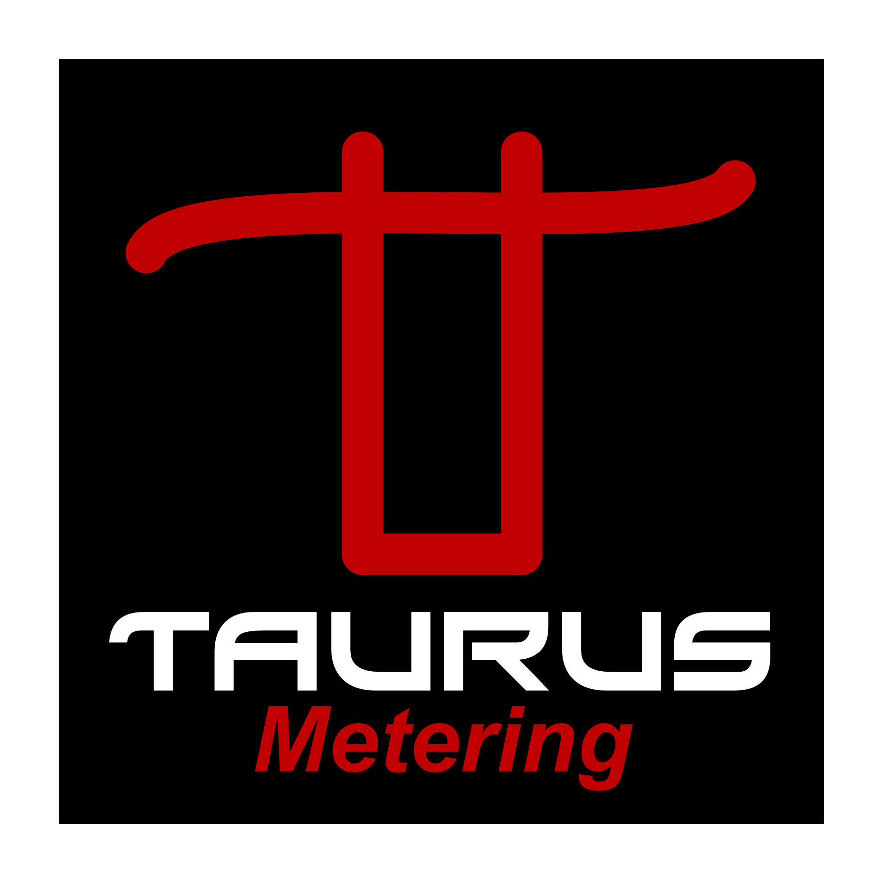 Taurus Metering